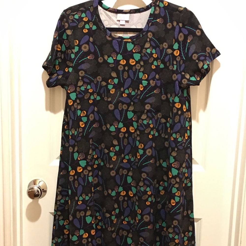 LulaRoe Carly Dress S